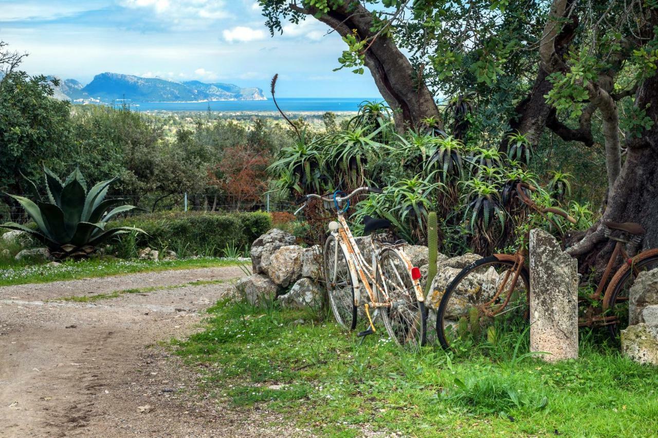 Villa Agroturismo Can Guillo Pollença Exterior foto